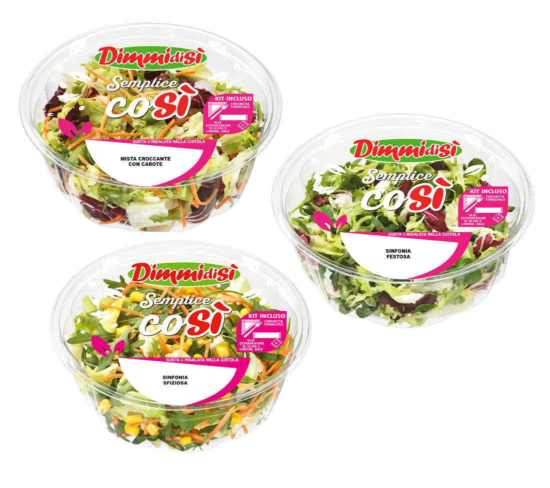 Scopri di più sull'articolo La Linea Verde launches a new range of salads for out-of-home consumption and creates a new segment in the fresh-cut market