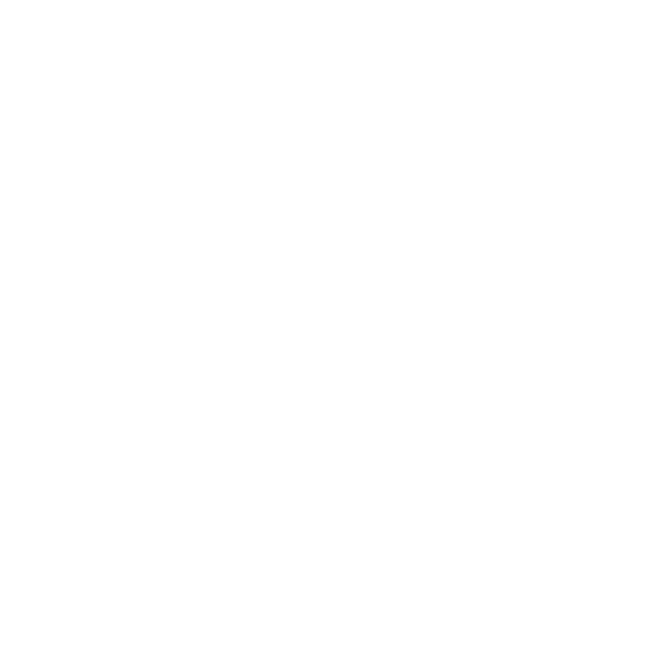 icona-euro-white icona-euro-white