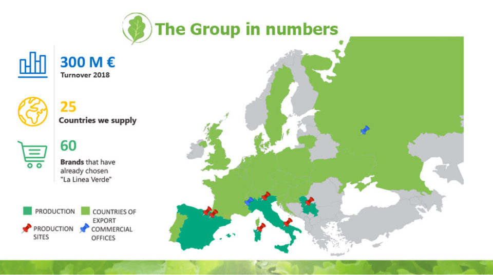 The group in number La linea verde