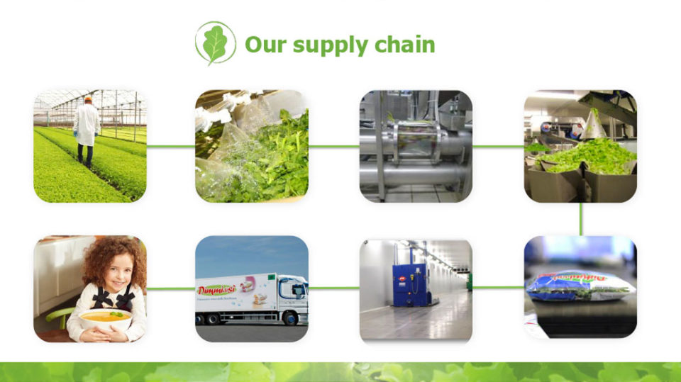 ur supply chain La linea verde