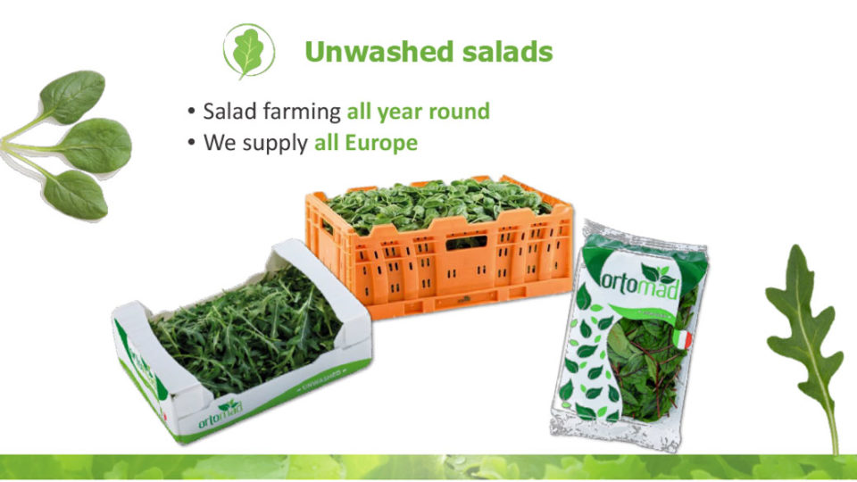 unwashed salads La linea verde