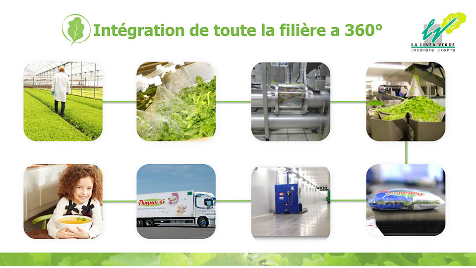 Integration de toute la filiére La linea verde