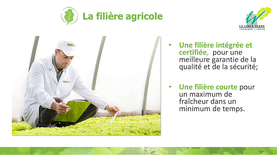 La filière agricole La linea verde