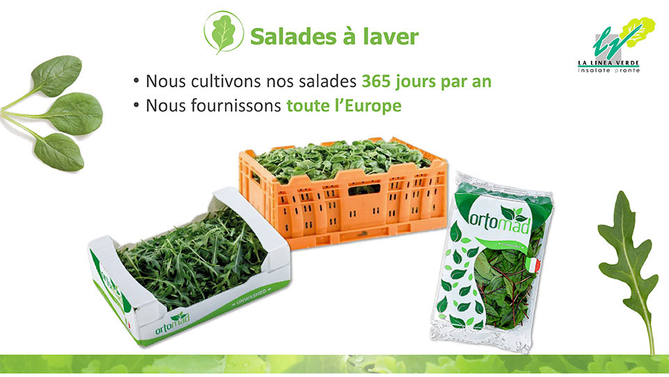 Salades à laver