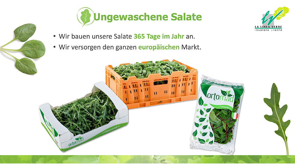 ungewashene salate La linea verde
