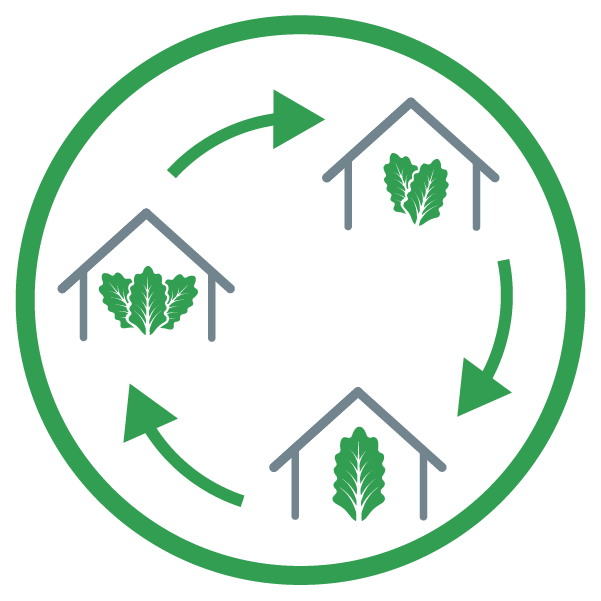 La Linea Verde disinfestazione