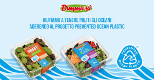 Prevented Ocean Plastic - DimmidiSì
