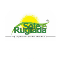 logo Sole e Rugiada